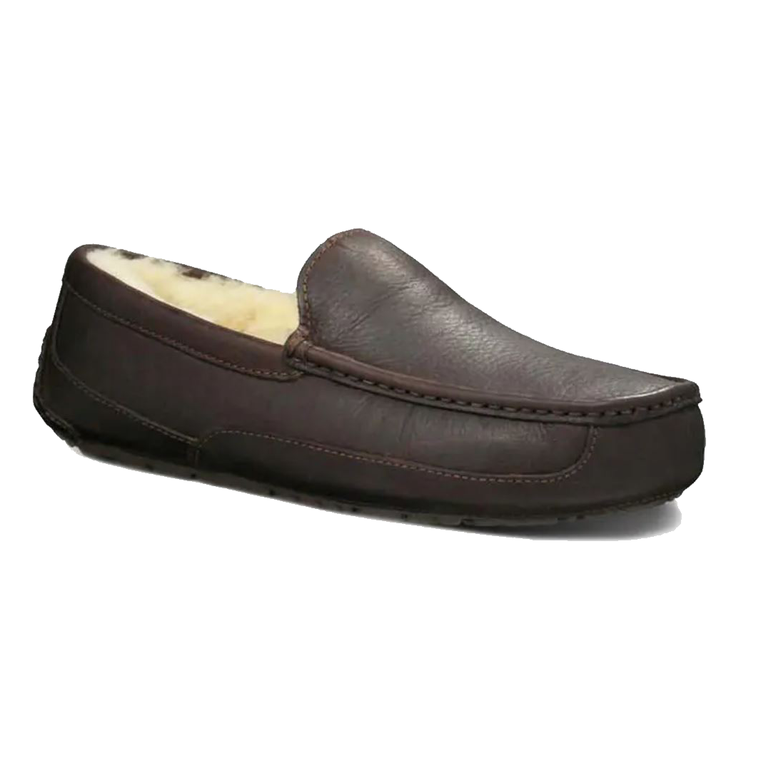 Men's Ascot Slipper by UGG