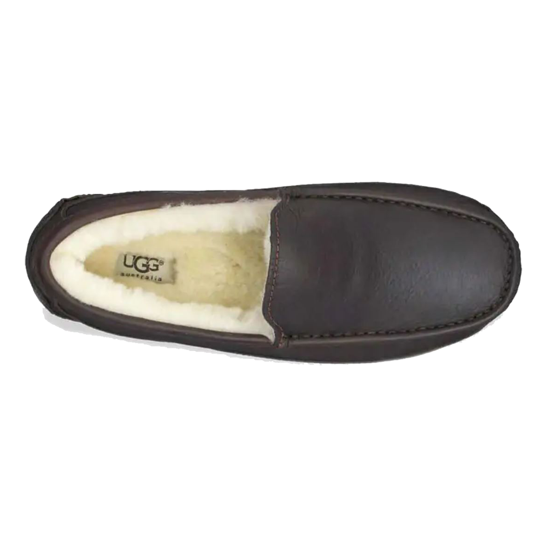 Men's Ascot Slipper by UGG - Image 3